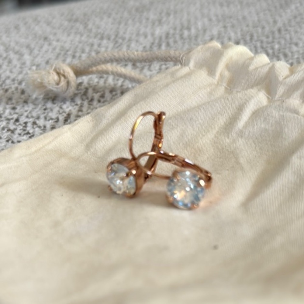 Elegant Rose Gold Earrings